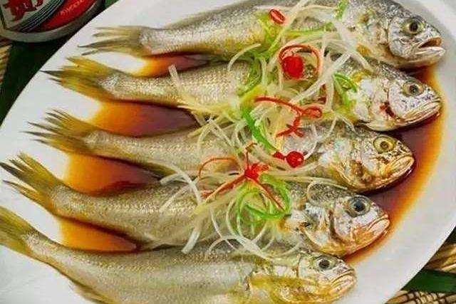 珊瑚黃魚 珊瑚黃魚