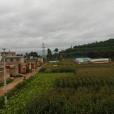小連登村 小連登村