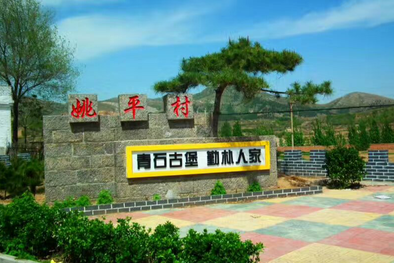 姚平村 姚平村
