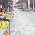蓮河村 蓮河村