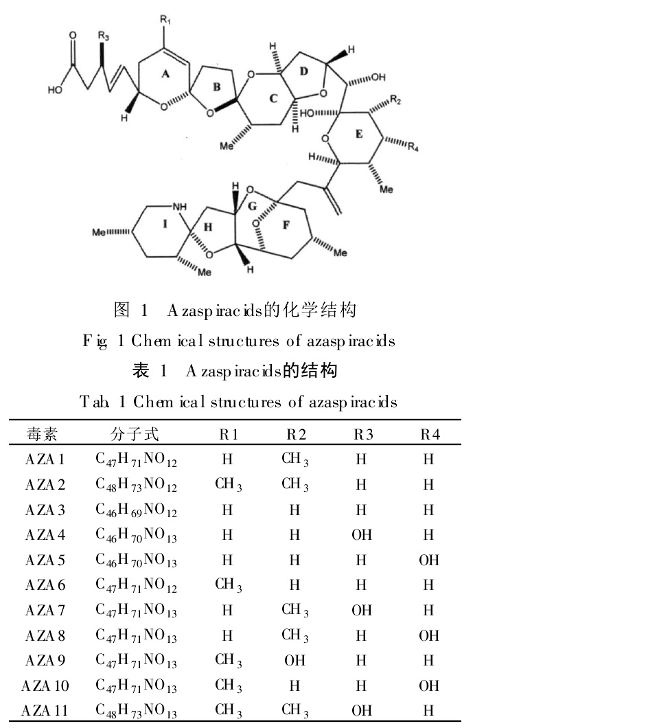 原多甲藻酸貝類毒素分子結構
