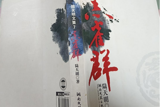 黑雀群(2008年湖南文藝出版社出版的圖書) 黑雀群(2008年湖南文藝出版社出版的圖書)