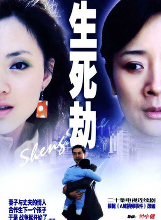 劉莉莉(安徽籍女演員)