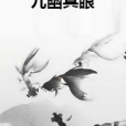 九幽冥眼 九幽冥眼