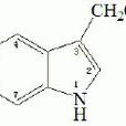 色氨酸羥化酶