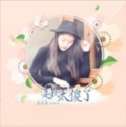 是我太傻了 是我太傻了