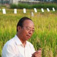 謝華安 謝華安