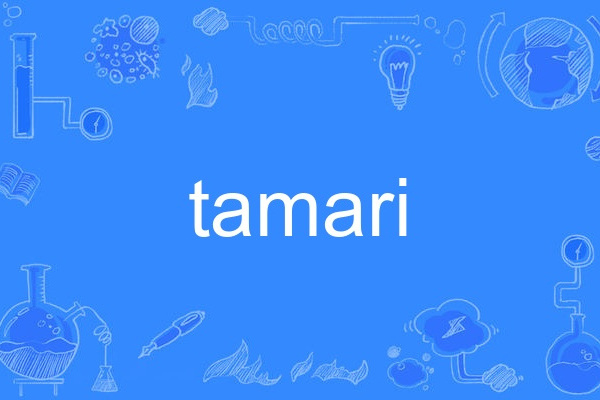 tamari tamari