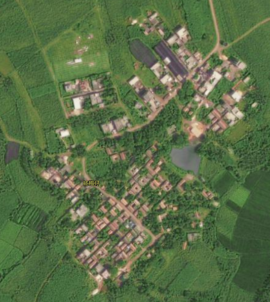 楊梅仔村 楊梅仔村