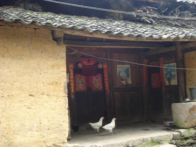 野雞溝村 野雞溝村