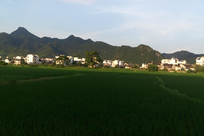 沖田村 沖田村