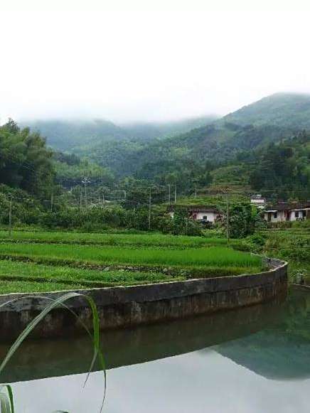 團船村 團船村