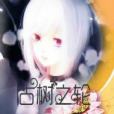 古樹之輪 古樹之輪