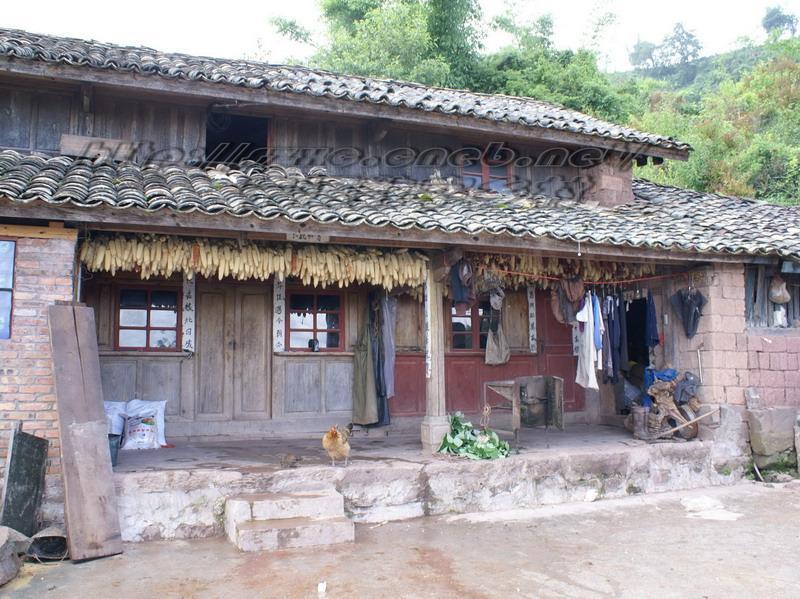 大黑坡村 大黑坡村