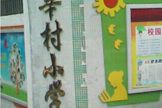 莘村國小 莘村國小