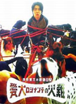 根津甚八(日本男演員) 根津甚八(日本男演員)