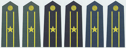 陸海空軍少校常服肩章(2007—)