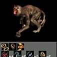 猿猴戰士 猿猴戰士