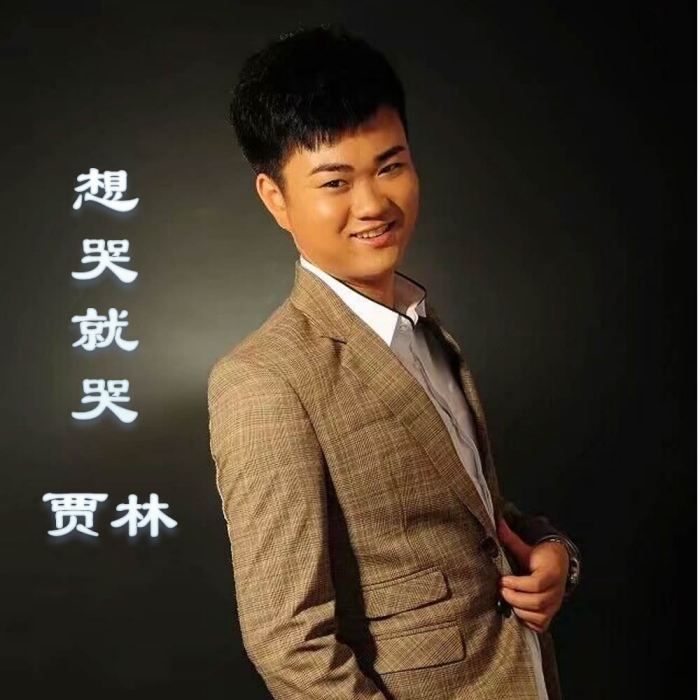 想哭就哭(賈林演唱歌曲) 想哭就哭(賈林演唱歌曲)