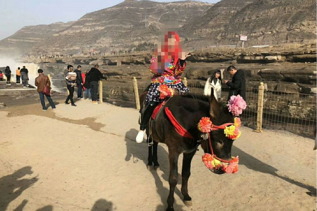 西龍掌塬 西龍掌塬
