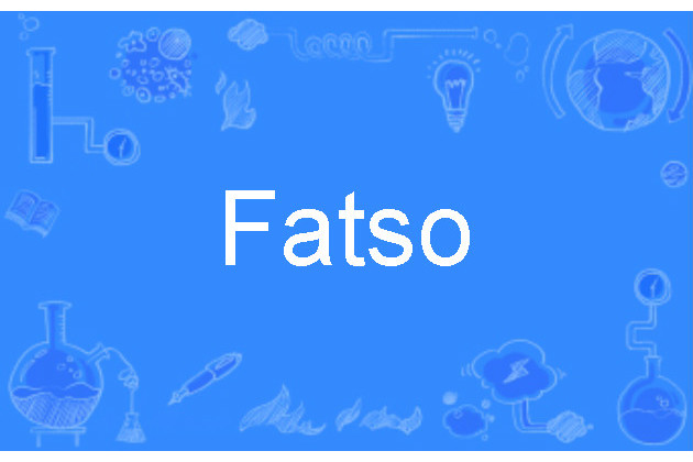 Fatso Fatso