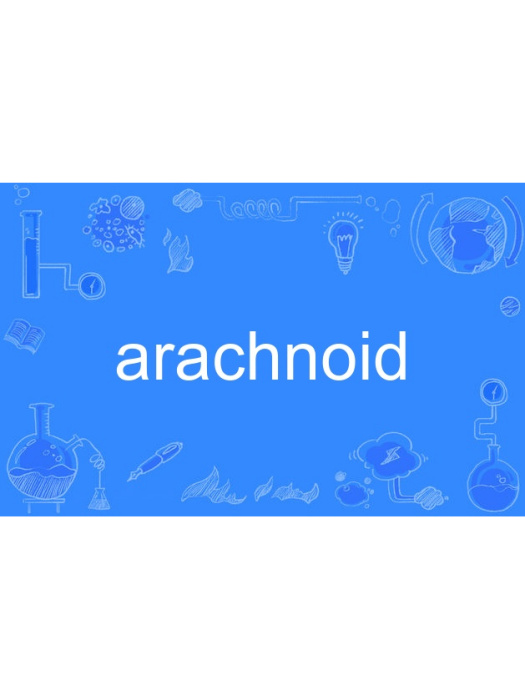 arachnoid arachnoid