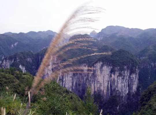 天星山 天星山