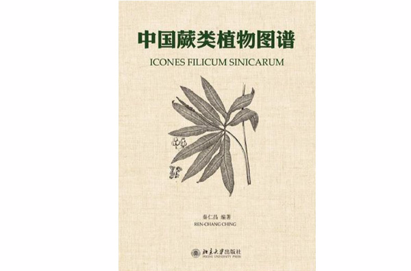 中國蕨類植物圖譜