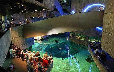 巴爾的摩國家水族館