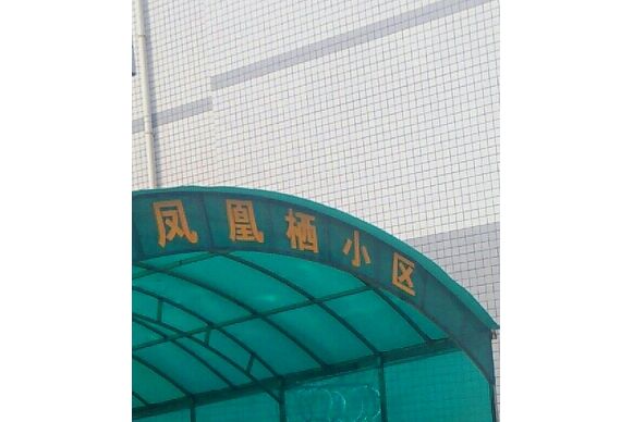 鳳凰棲小區 鳳凰棲小區