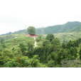 雙岩村(天台縣南屏鄉下轄村) 雙岩村(天台縣南屏鄉下轄村)