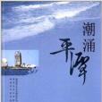 潮湧平潭 潮湧平潭