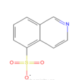5-異喹啉磺酸 5-異喹啉磺酸