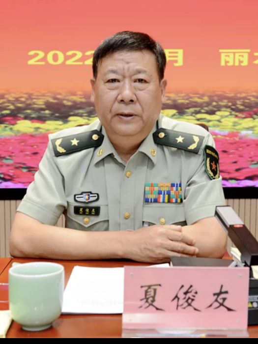 夏俊友 夏俊友
