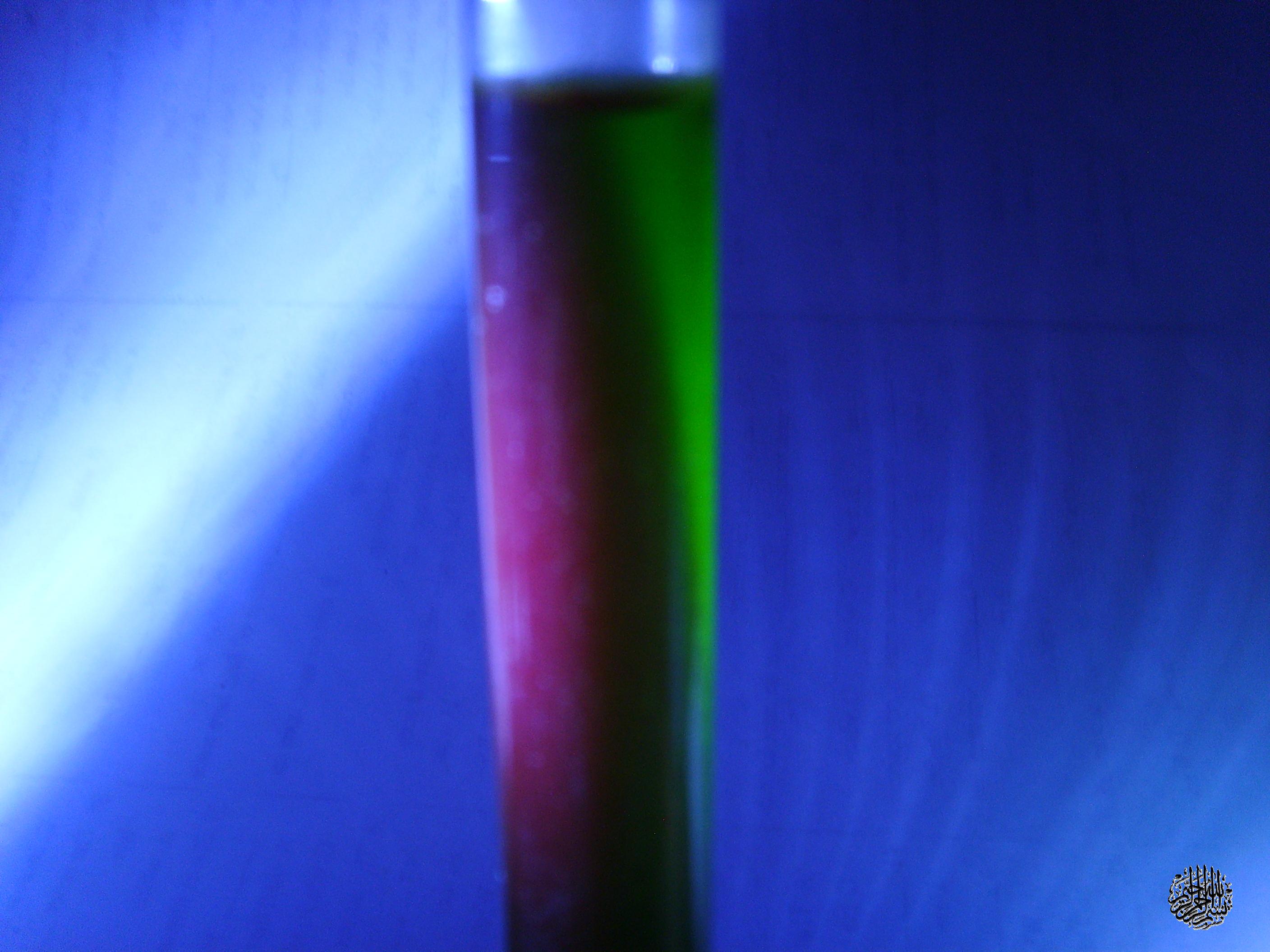 葉綠素的螢光現象