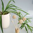 reed diffuser reed diffuser