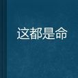 這都是命(書籍) 這都是命(書籍)