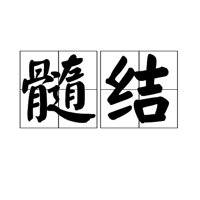 髓結 髓結