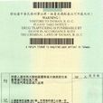 台灣商務簽證