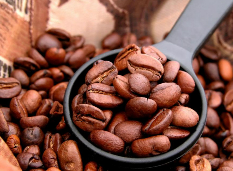 爪哇咖啡豆