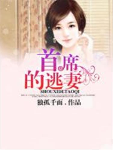 首席的逃妻 首席的逃妻
