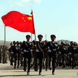 和平使命2010(和平使命-2010)