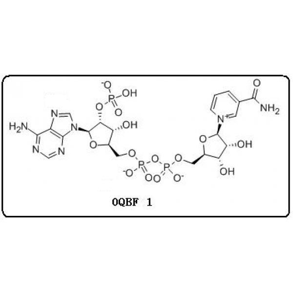 煙醯胺腺嘌呤二核苷酸磷酸