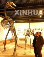 二連浩特市恐龍博物館