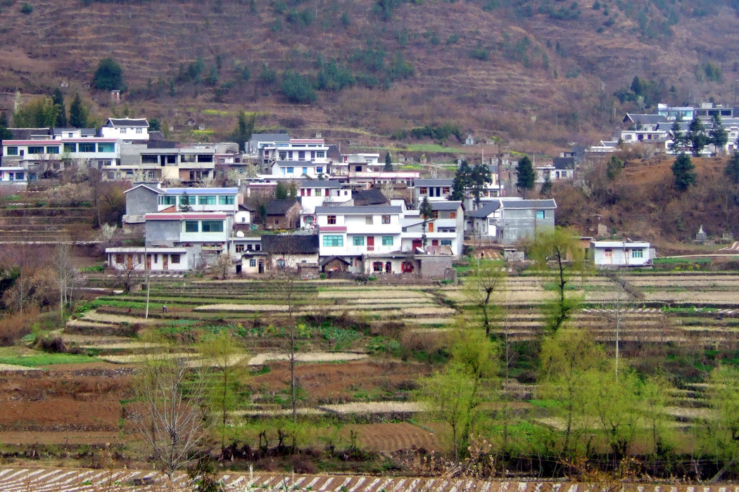 娛樂村(貴州畢節市赫章縣達依鄉下轄村) 娛樂村(貴州畢節市赫章縣達依鄉下轄村)