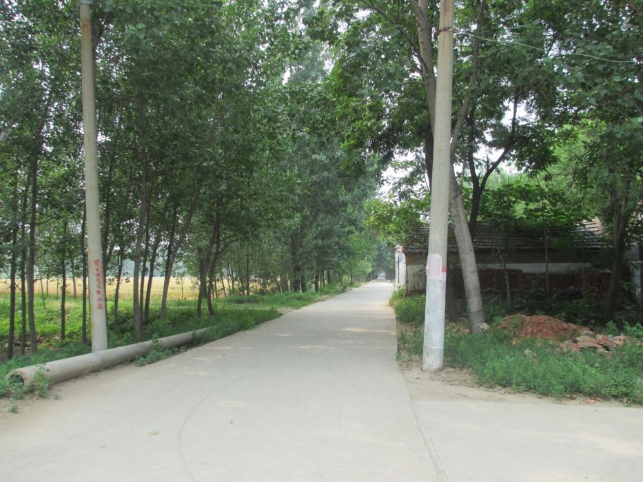 陳廠村 陳廠村
