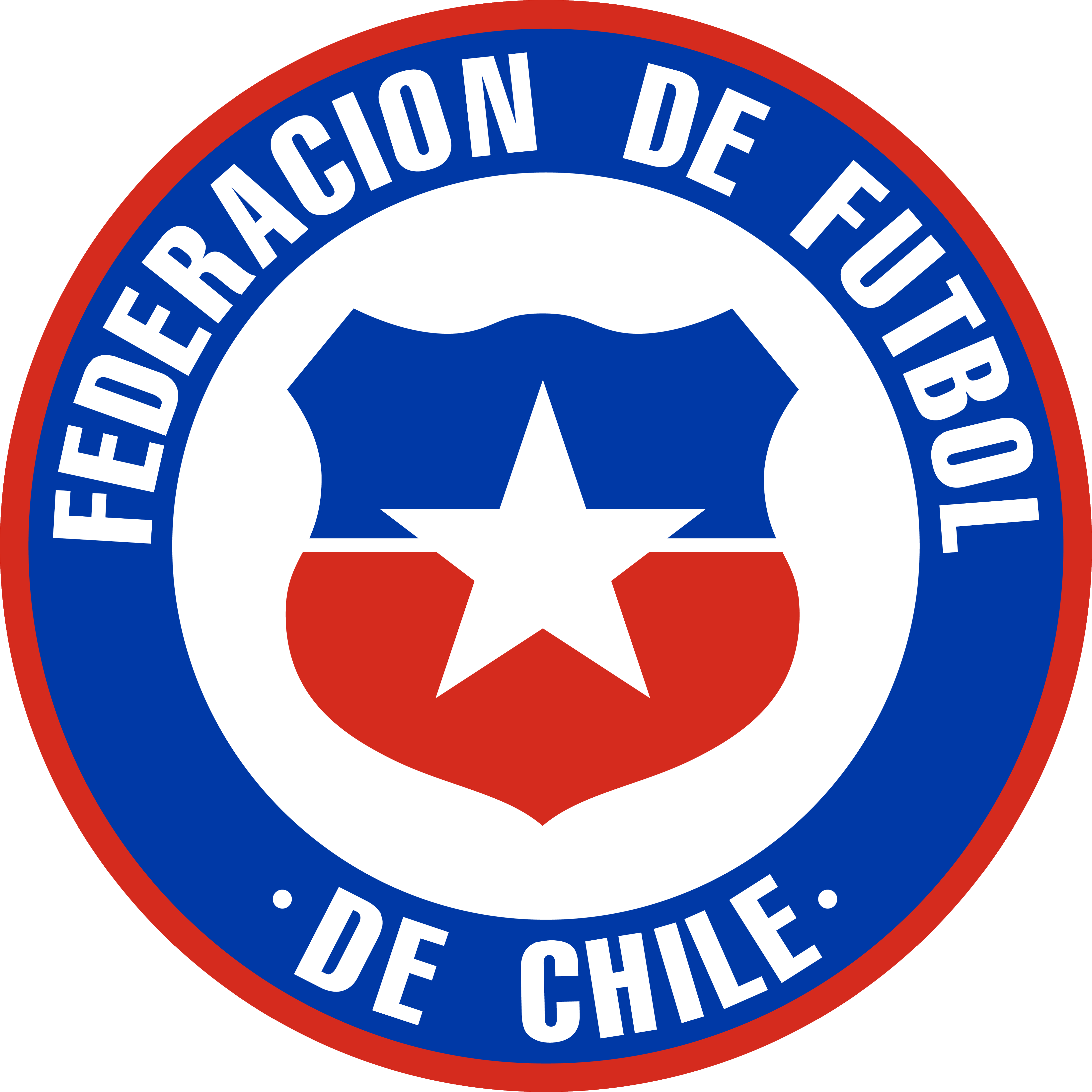 智利國家女子足球隊(智利女足)