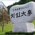 韓國炸雞大學