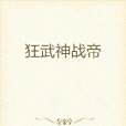 狂武神戰帝