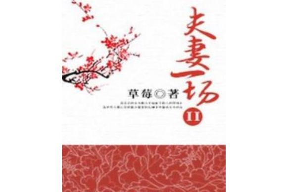 夫妻一場II 夫妻一場II